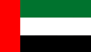 Dubai Flag
